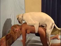zoophilie sexe masculin zoophilie sexe masculin